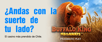 Experiencia de casino online Naya Facil